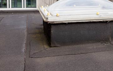 disadvantages of Bryn Iwan flat roofs