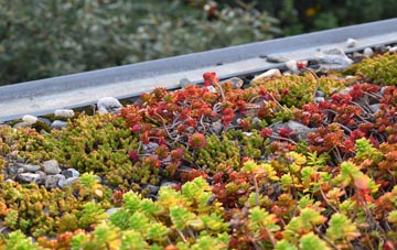 the cost of Bryn Iwan green roof installation