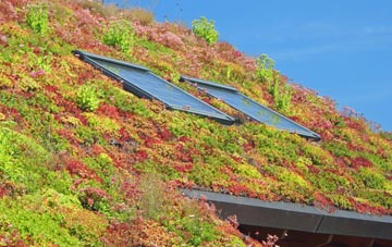 Bryn Iwan living roof systems