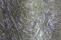 Bryn Iwan fibreglass roof work